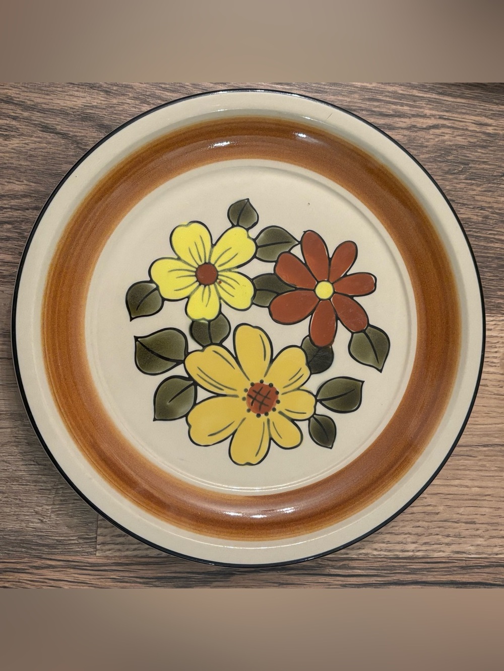 Retro Vtg Daisy Vale Stoneware Dinner Plate 10 5/8” JC Penney 1970's Cottage